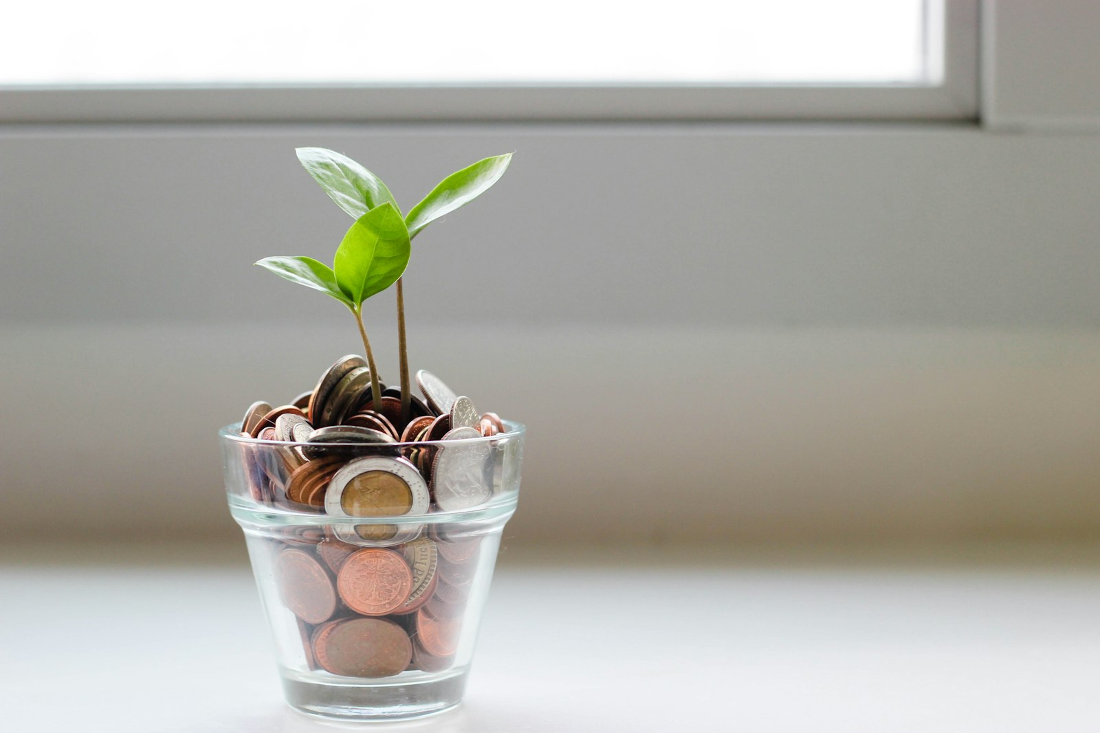 A plant growing out of a jar full of coins, symbolising saving and steady wealth building